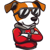 Dog Sunglasses