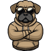Dog Sunglasses