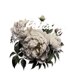 Just Keep Pedaling – Blumen & Fahrrad
