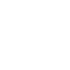 100% CHAMPION