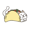 Tacocat is Tacocat Backwards