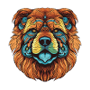 Chow Chow Dog Portrait