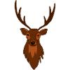 Deer Roebuck Deer Forest Hunter