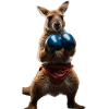 Boxing Kangaroo