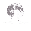 Chat regardant la lune