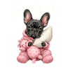 French Bulldog in Pajamas