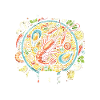 Paella Spanish cuisine Seafood