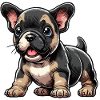 Chiot bouledogue français