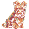 Buntes Terrier-Porträt
