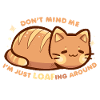 LOAFing Around Cat