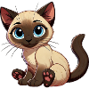 Siamese cat baby png