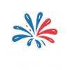 Pyrotechnics Fireworks Pyrotechnics