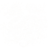 drache china