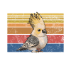 Cadeaux de calopsitte