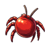 Kirschspinne Kirsche Spinne