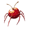 Kirschspinne Kirsche Spinne