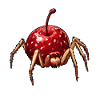 Kirschspinne Kirsche Spinne