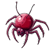 Cherry Spider Cherry Spider