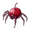 Cherry Spider Cherry Spider