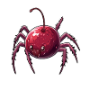 Cherry Spider Cherry Spider
