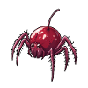 Cherry Spider Cherry Spider