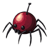 Cherry Spider Cherry Spider