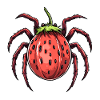 strawberry spider strawberry spider