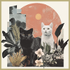collage de chats