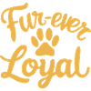 For Ever Loyal