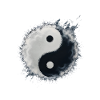 yin yang