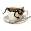 Coffee Salamander 3