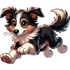 Border Collie bwr