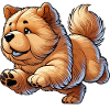 Chow Chow
