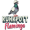 Ruhrgebiet Ruhrpott Flamingo Taube