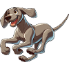 Weimaraner