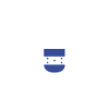 Tegucigalpa Fans T-Shirt Design
