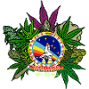 IMMEDIATE SATELLITE / MEDICATION BROTHERHOOD