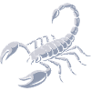 Fierce Scorpion