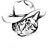 Miaou Chat