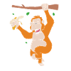 Orangutan