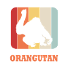 Orangutan