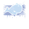 Narwhal Angry Narwhals