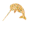 Narwhal Geometric
