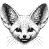 Fennec