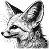 Fennec
