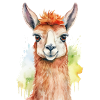 Cute llama