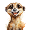 Suricate