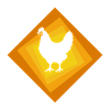 Chicken Chicken Coop Chicks