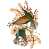 Nature Collage