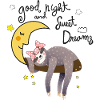 Faultier mit Mond